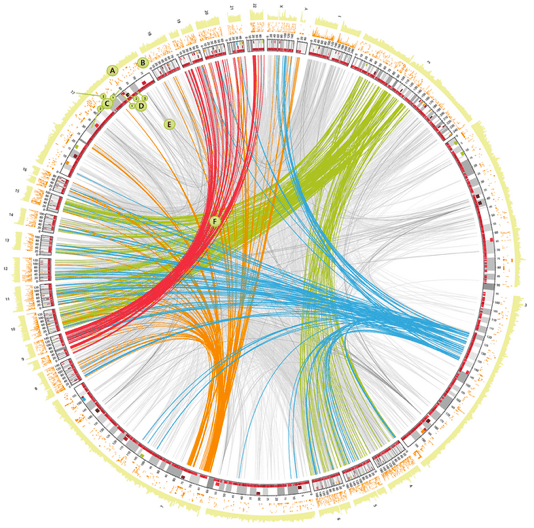 15 Ejemplos De Las Mejores Visualizaciones De Datos