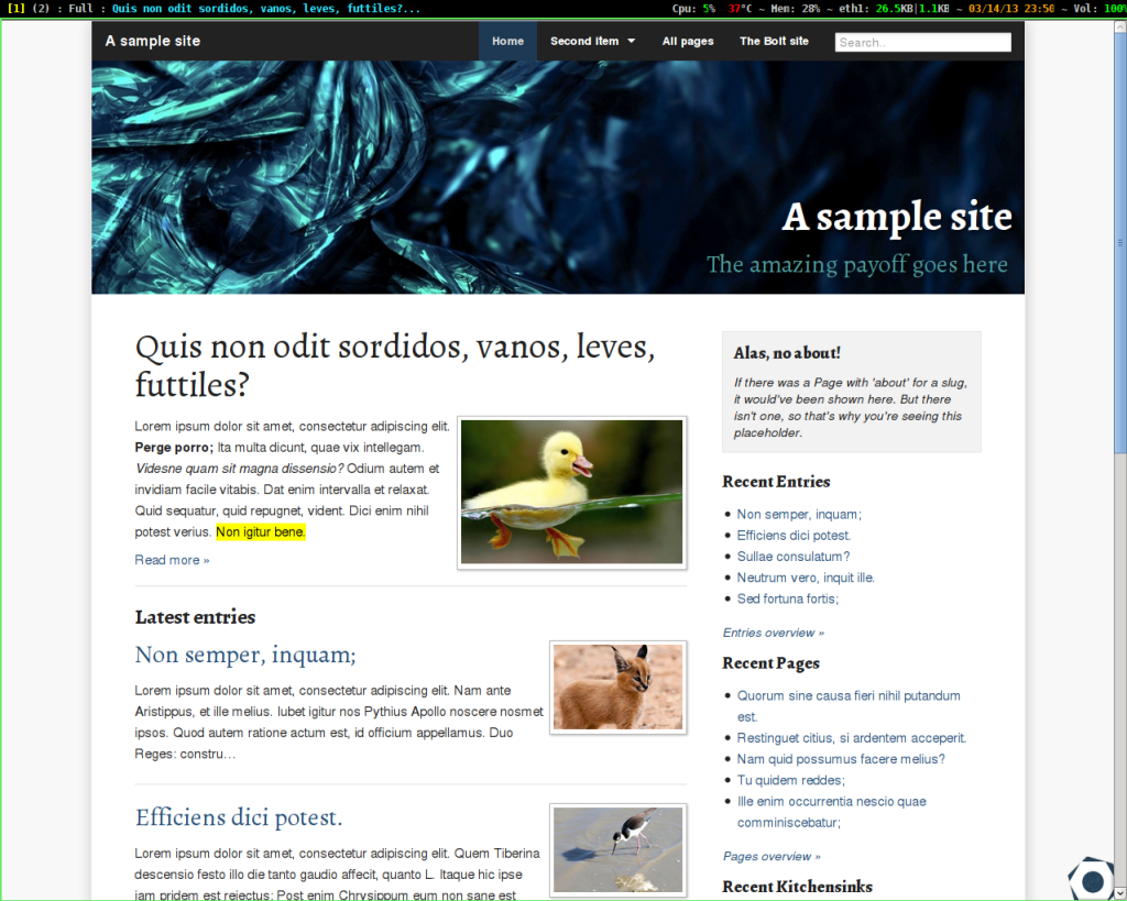 Bolt Home PAge CMS