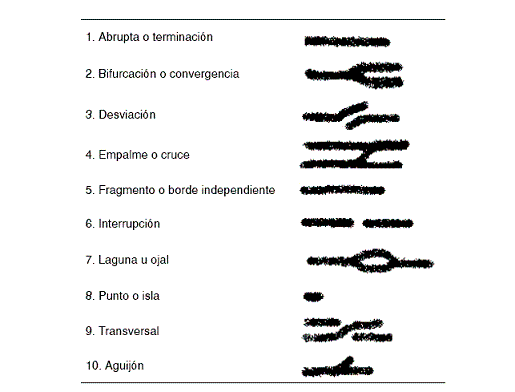 Minucias Minucias