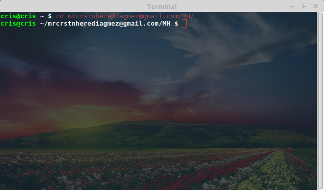 Ejemplo 1 imagen-terminal-color-texto-a-juego-linux2