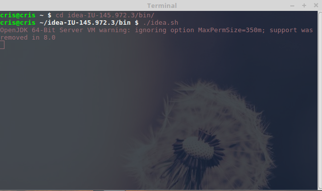 Ejemplo 1 imagen-terminal-color-texto-a-juego-linux2