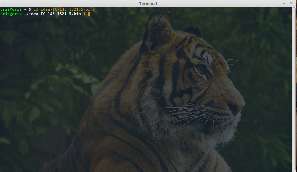 Ejemplo 1 imagen-terminal-color-texto-a-juego-linux2
